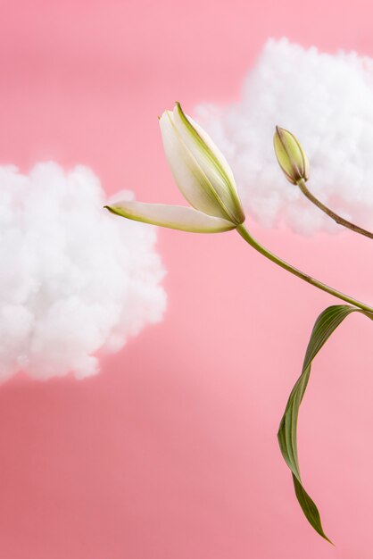 Hermosa flor con fondo rosa