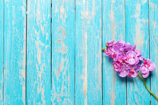 Hermosa flor fresca en la mesa de madera, vista superior