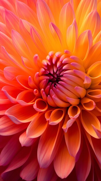 Una hermosa flor en la naturaleza