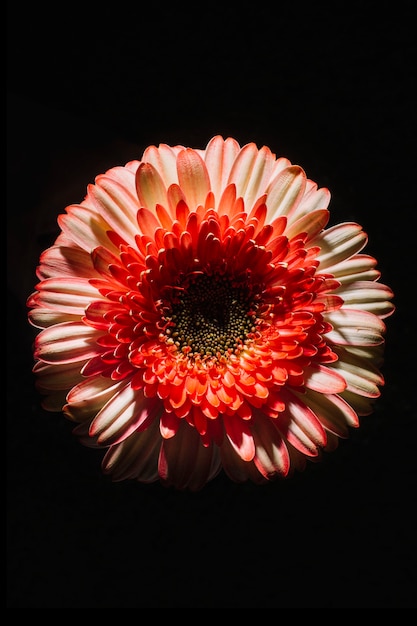 Hermosa flor en negro