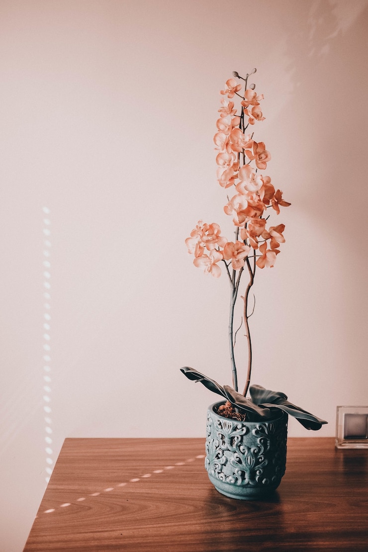 Foto gratuito una hermosa flor en la olla en el escritorio