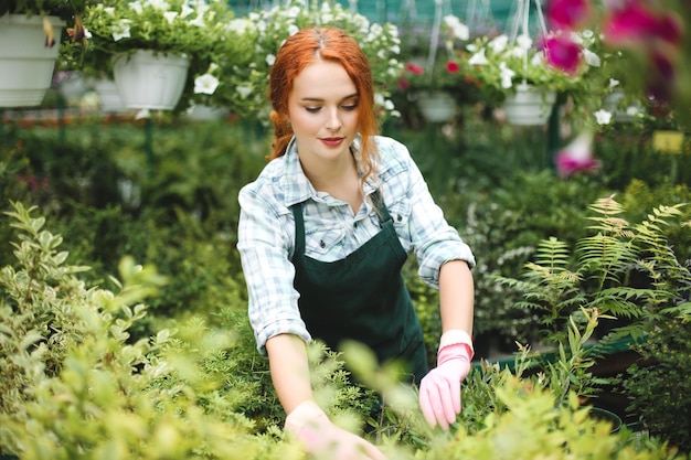 Hermosa floristería en delantal y guantes rosas trabajando cuidadosamente con plantas en invernadero