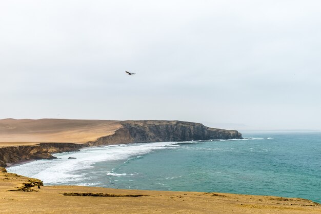 Hermosa foto de acantilado cerca del mar con un pájaro volando bajo un cielo nublado