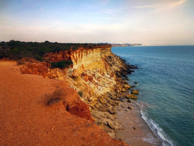 Hermosa foto del acantilado cubierto de arbustos junto a una playa llena de rocas en Cádiz, España.