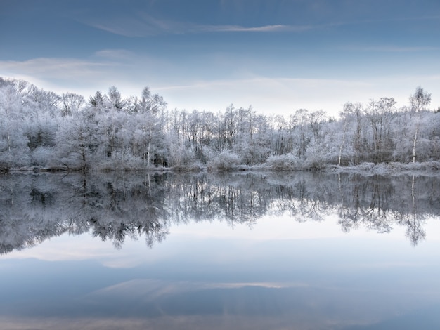 Hermosa foto del agua que refleja los árboles nevados bajo un cielo azul