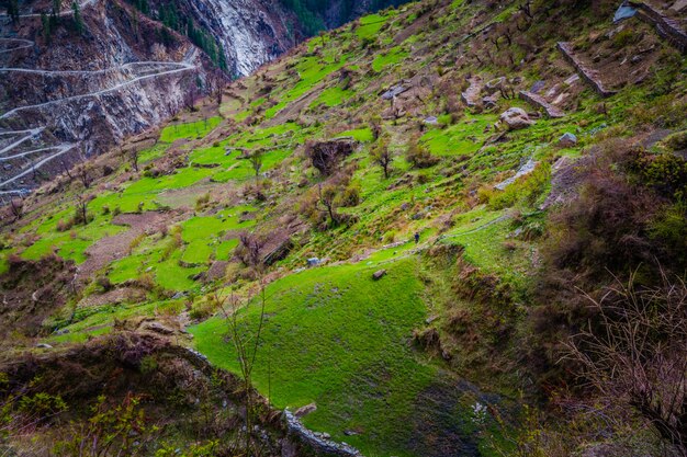 Hermosa foto de altas montañas cubiertas de hierba verde y arbustos