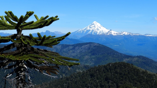 Hermosa foto de un árbol con montañas en la distancia bajo un cielo azul claro