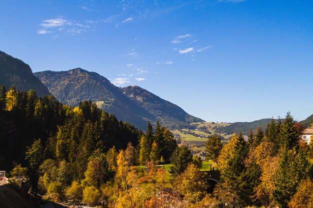 Hermosa foto de árboles de diferentes colores cerca de la montaña boscosa en Dolomitas Italia