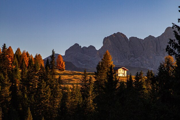 Hermosa foto de árboles verdes con una casa y una montaña en la distancia en Dolomita Italia