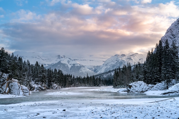 Hermosa foto de un área montañosa cubierta de nieve y rodeada de bosques