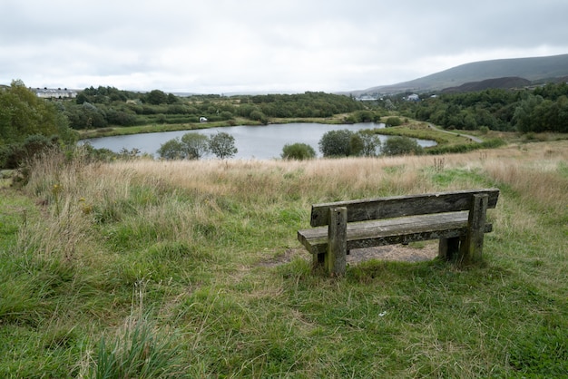 Hermosa foto de un banco en el lago rodeado de diferentes tipos de plantas