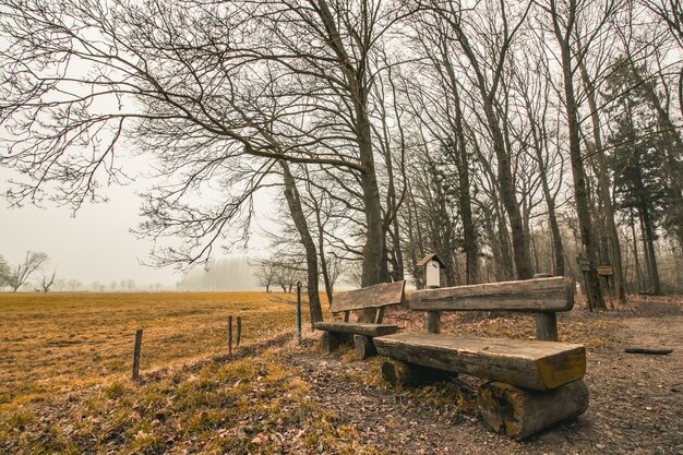 Hermosa foto de bancos de madera en un parque forestal con un cielo sombrío de fondo