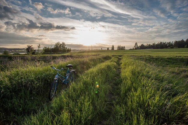 Hermosa foto de una bicicleta en el campo de hierba durante la puesta de sol en Tczew, Polonia