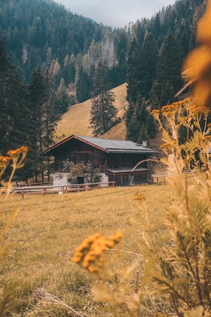 Foto gratuita hermosa foto de cabañas en el bosque.