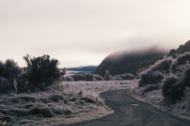 Hermosa foto de un camino con curvas rodeado de colinas y césped helado cubierto de niebla