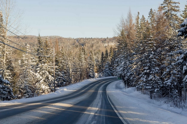 Hermosa foto de un camino estrecho cubierto de nieve en el campo