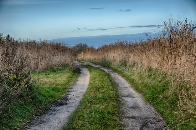 Hermosa foto de un camino en medio de un campo en el campo