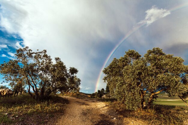 Hermosa foto del campo en España