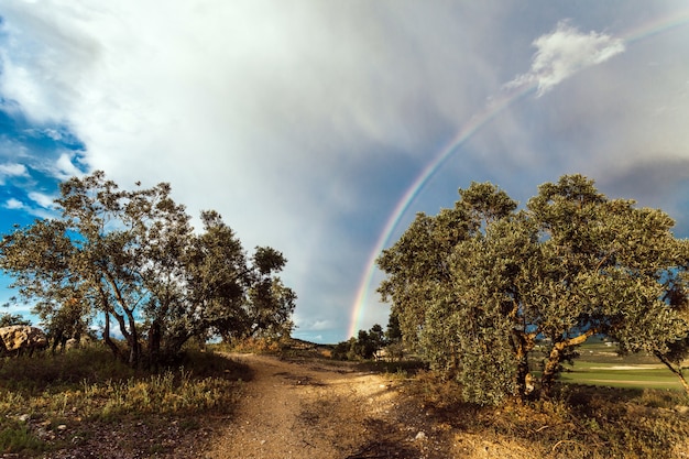 Hermosa foto del campo en España