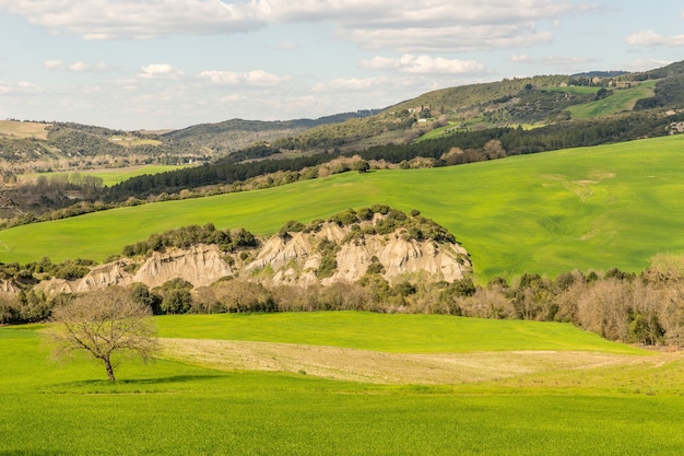 Hermosa foto de un campo de hierba con un árbol y una montaña en la distancia