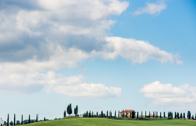 Hermosa foto de un campo de hierba con árboles y una casa en la distancia bajo un cielo azul