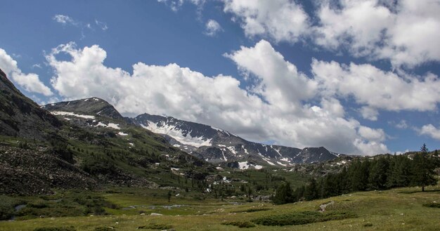 Hermosa foto de un campo de hierba con árboles y montañas y una capa de nubes en el cielo