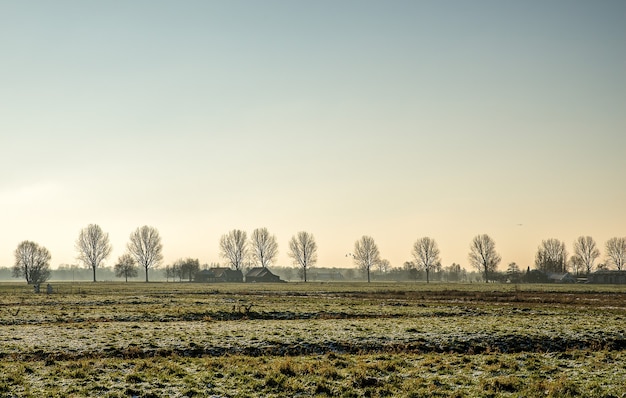 Foto gratuita hermosa foto de un campo de hierba con edificios en la distancia cerca de árboles sin hojas