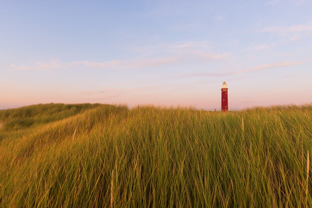 Hermosa foto de un campo de hierba con un faro rojo en la distancia y el cielo azul