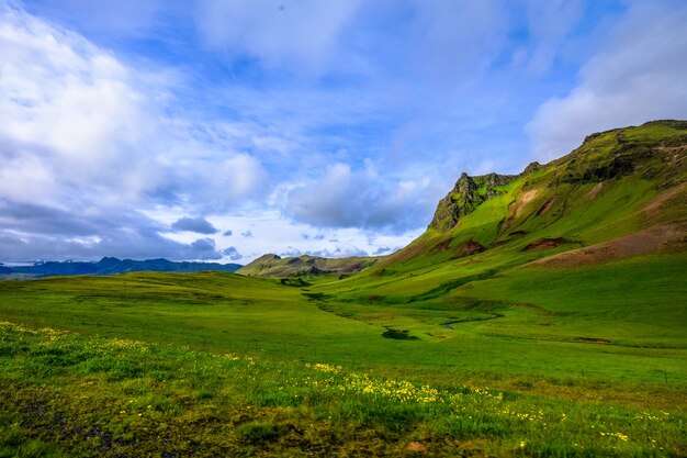 Hermosa foto de un campo de hierba con flores amarillas cerca de las montañas bajo un cielo nublado