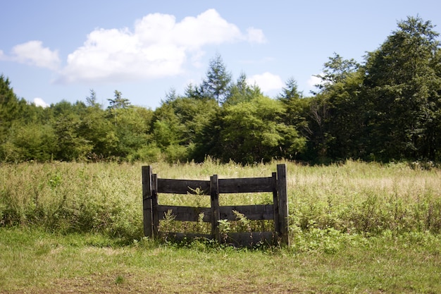 Hermosa foto de un campo de pastos con una puerta de madera rodeada de árboles verdes