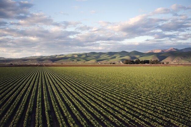 Hermosa foto de un campo verde rodeado de altas montañas bajo el cielo nublado