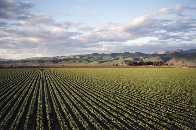 Hermosa foto de un campo verde rodeado de altas montañas bajo el cielo nublado