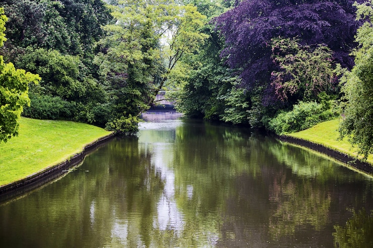 Foto gratuito hermosa foto de un canal con árboles reflejados en el agua