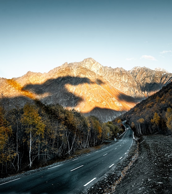 Foto gratuita hermosa foto de una carretera rodeada de árboles