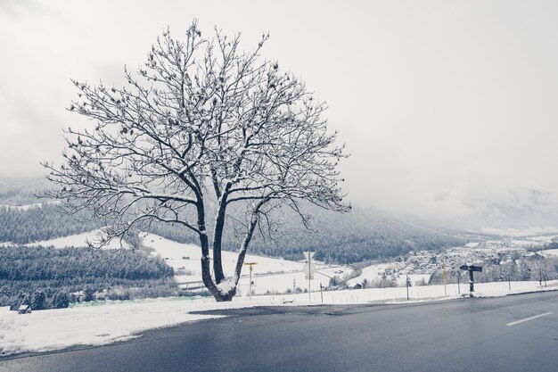 Hermosa foto de una carretera vacía con árboles y colinas cubiertas de nieve