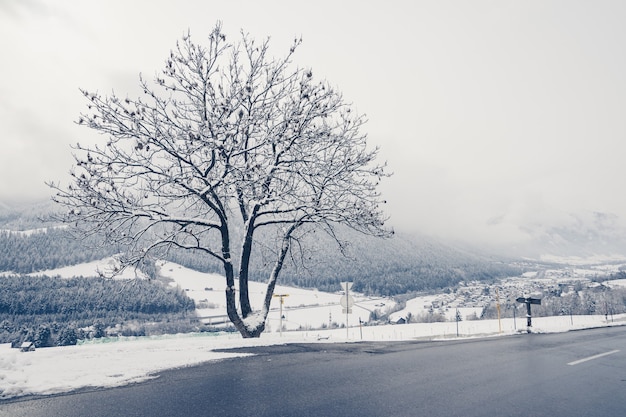 Hermosa foto de una carretera vacía con árboles y colinas cubiertas de nieve