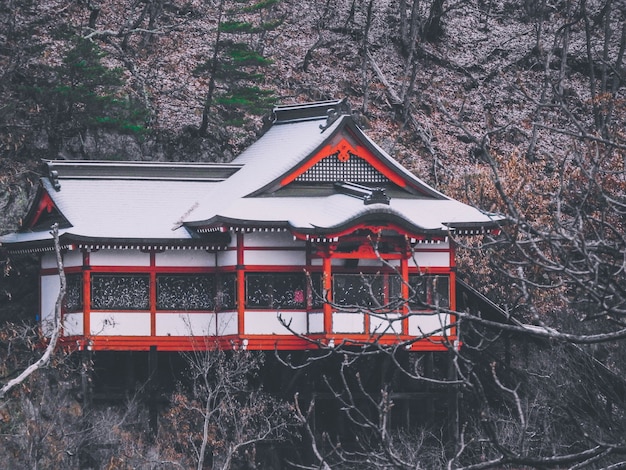 Una hermosa foto de una casa de estilo japonés en la montaña.