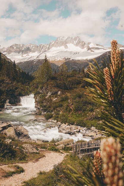 Hermosa foto de una cascada en rocas rodeadas de vegetación