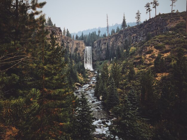 Hermosa foto de la cascada de Tumalo en medio del bosque