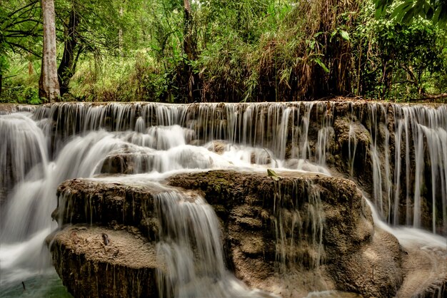 Hermosa foto de cascadas en el bosque