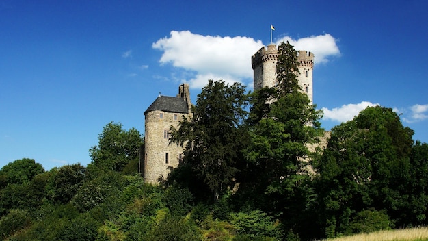 Hermosa foto de un castillo histórico rodeado de árboles verdes bajo el cielo nublado