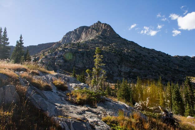 Hermosa foto de una colina con árboles cerca de la montaña bajo un cielo azul durante el día