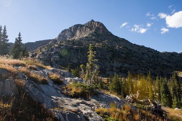 Hermosa foto de una colina con árboles cerca de la montaña bajo un cielo azul durante el día