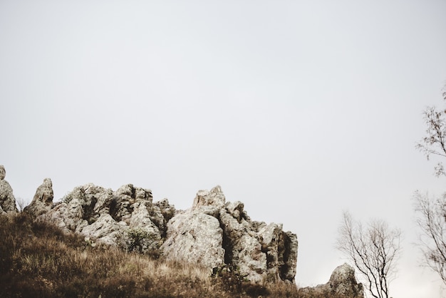 Hermosa foto de una colina cubierta de hierba seca con rocas y árboles sin hojas bajo un cielo nublado