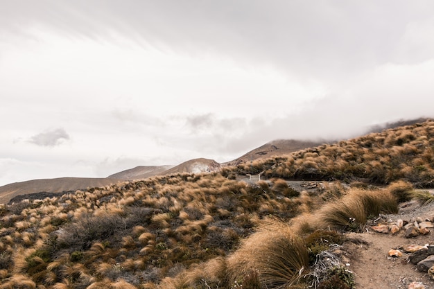 Hermosa foto de una colina del desierto seco con montañas