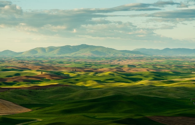 Hermosa foto de colinas cubiertas de hierba y montaña en la distancia