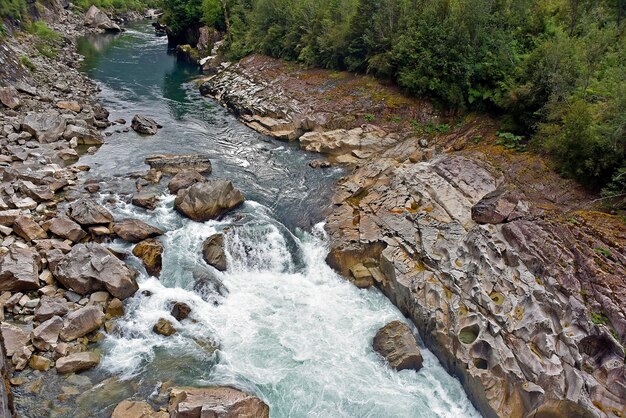 Hermosa foto de una corriente de agua a través de las rocas en un bosque