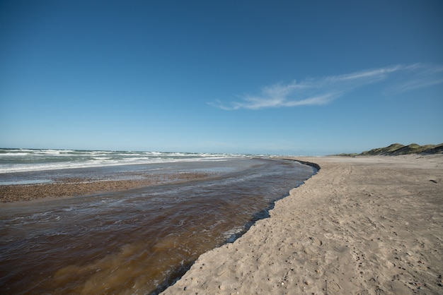 Hermosa foto de la costa de arena sobre un fondo de cielo despejado