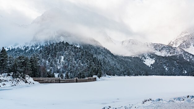 Hermosa foto de un día brumoso en un bosque de invierno cerca de las montañas