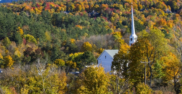 Hermosa foto de un edificio en el bosque colorido del otoño en un día brillante